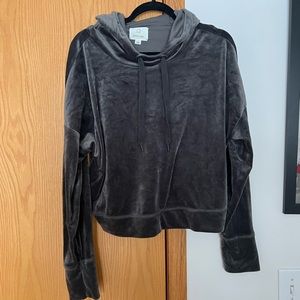 Velvet cropped sweatshirt